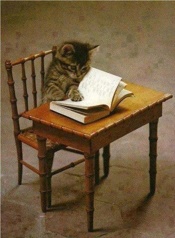 cat reading at a desk. Often used with my reminder to bookmark this page.