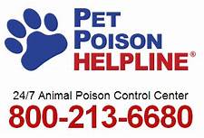 pet poison helpline
Poisonous Plants