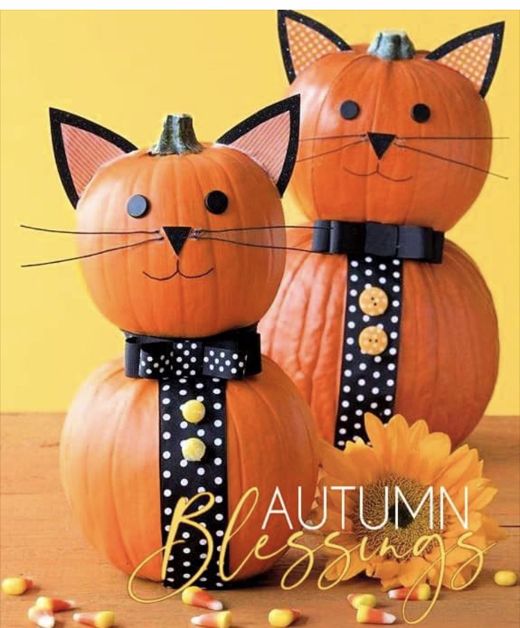 Cat/Pumpkins
Cats and Halloween