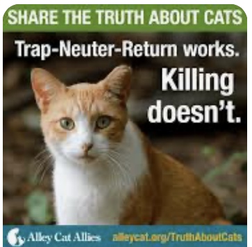 Alley Cat Allies 
TNR works; killing doesn't