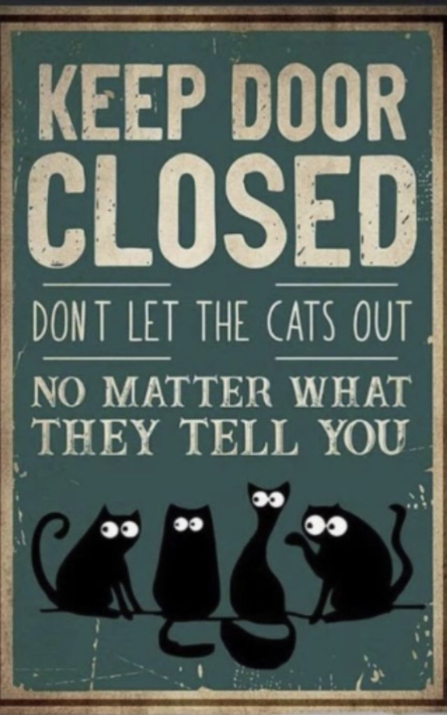 Keep door closed sign; Don't let pets out alone during fireworks! you may never see them again.
Cats and fireworks