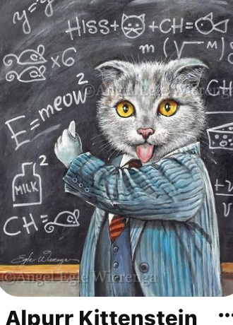 Cat as Albert Einstein at chalkboard School Supplies