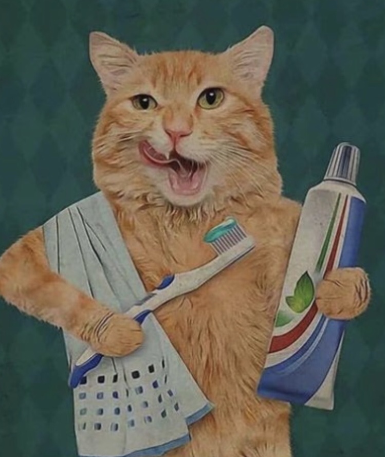 orange cat with toothbrush and supplies
FREE STUFF