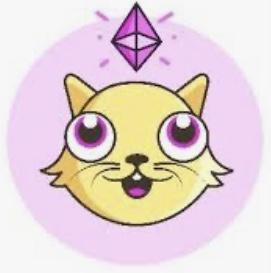 Cryptokitty NFT 
What are NFTs?