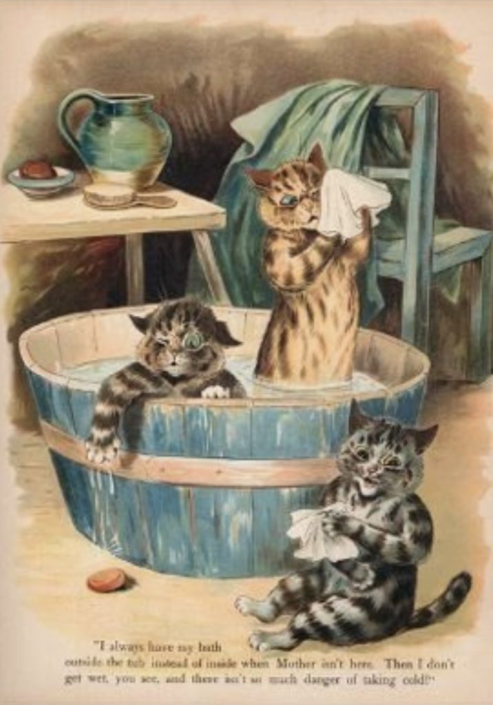 Kittens bathing
Healing Balm