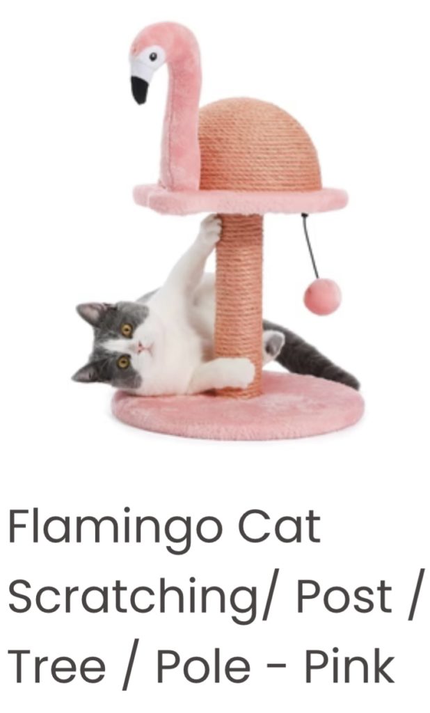 Cat Furniture for Royalty
Pets and Their Needs