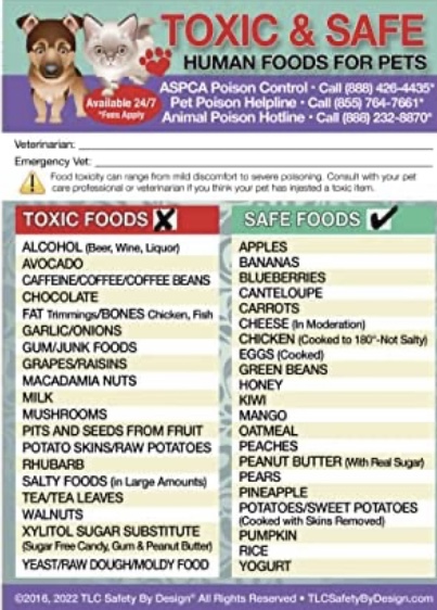 List of toxic and safe human foods for pets. Some of our regular foods can kill pets. Chocolate, for instance!
Cats and Holidays